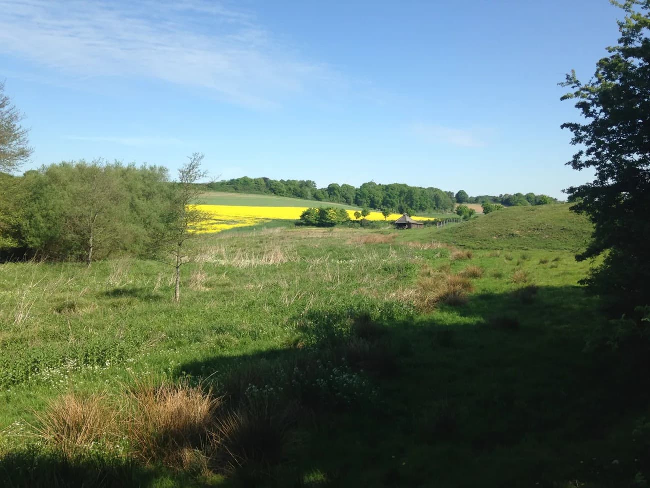 Natur ved Randers