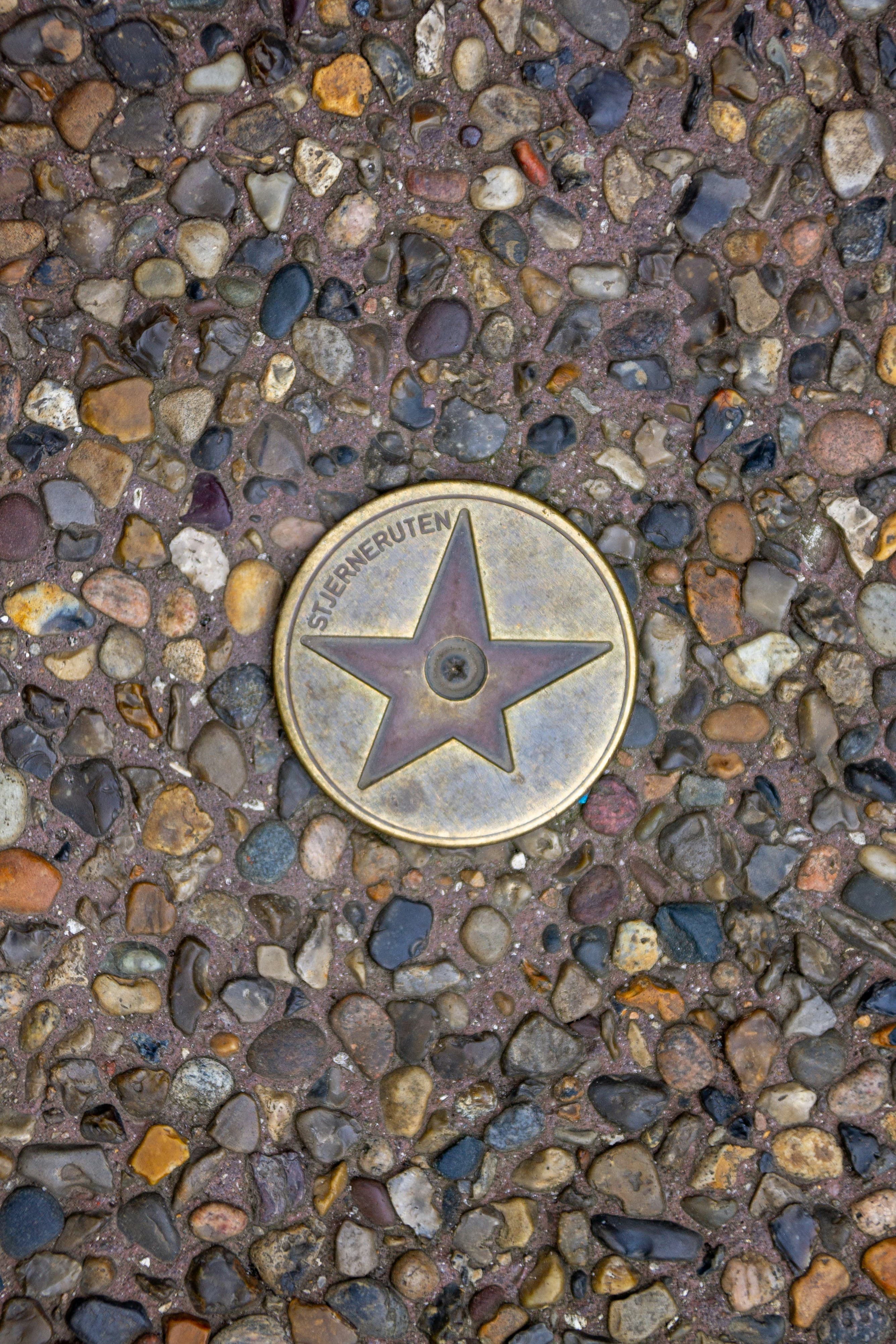 Stjerneruten